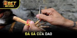 Đá Gà Cửa Dao