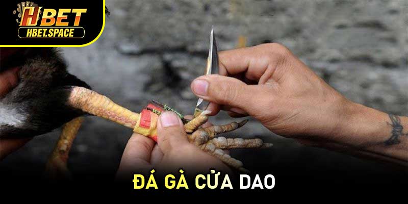 Đá Gà Cửa Dao