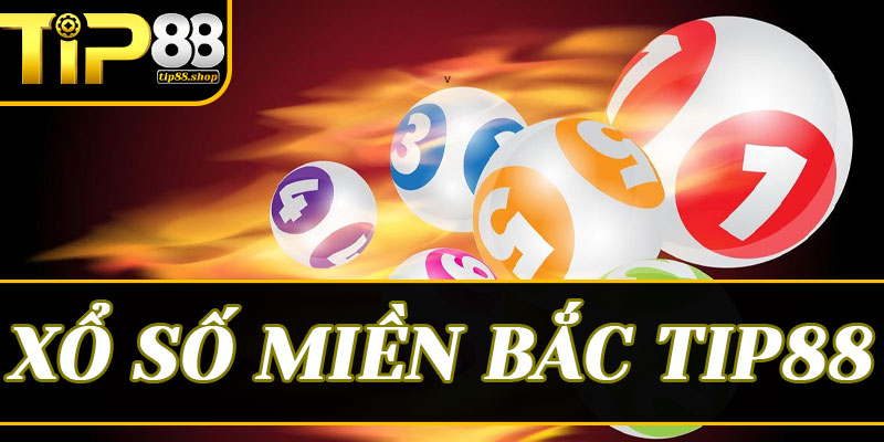 Tại sao Xổ số miền Bắc Tip88 lại soán ngôi các đại lý truyền thống?