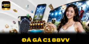 Đá Gà C1 Đỉnh Cao - Sàn Đấu Kê Vương Hot Nhất 2026