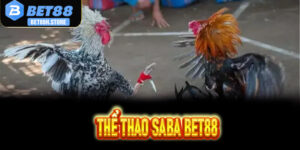 Thể Thao Saba Tại Bet88